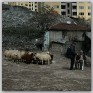 data/images/novinky/006-ankara-rich-poor/07.jpg