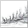 anim 03 data/images/novinky/anim-03/01.jpg